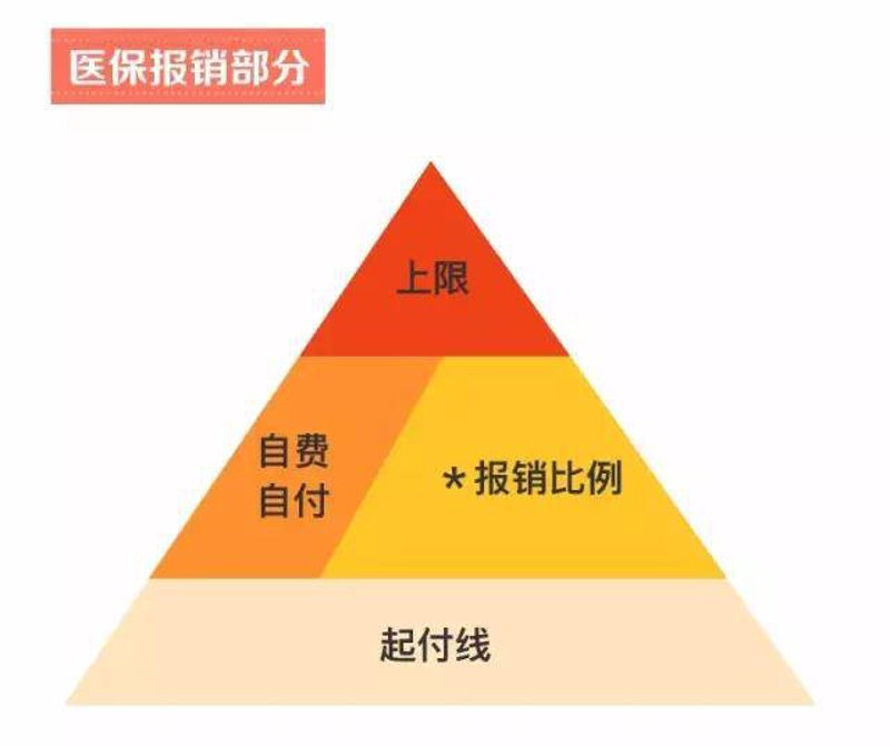 聚焦发展，关注健康：经开区医院的升级与进步